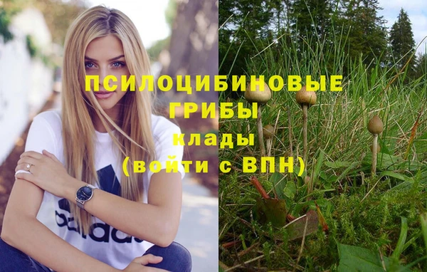 каннабис Аркадак