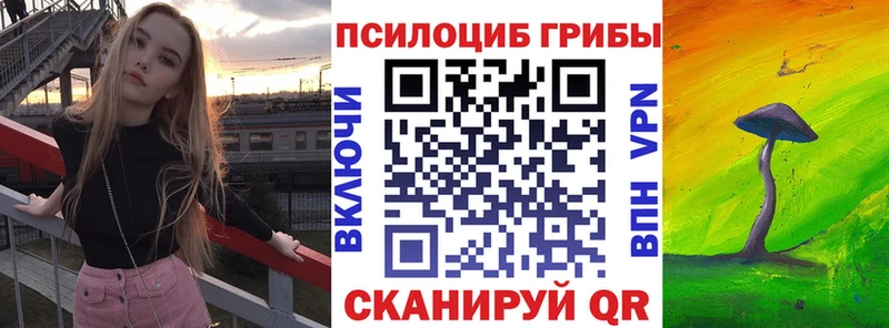 где найти наркотики  Краснослободск  blacksprut зеркало  Псилоцибиновые грибы прущие грибы 